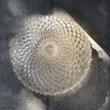 Globe en verre vintage