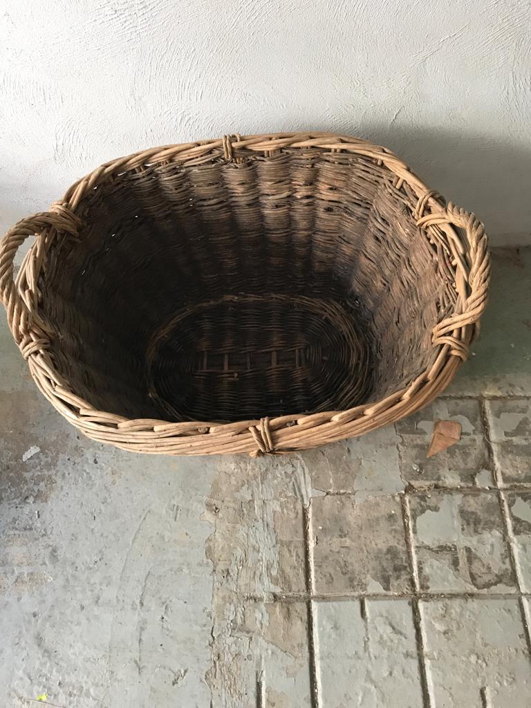 Harvest basket