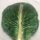 Unique cabbage leaf trinket tray