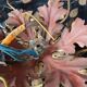 Florentine Ceiling Light Fixture Banci Firenze 1970s Maison Bagues Design it