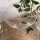 Set of 6 wine glasses