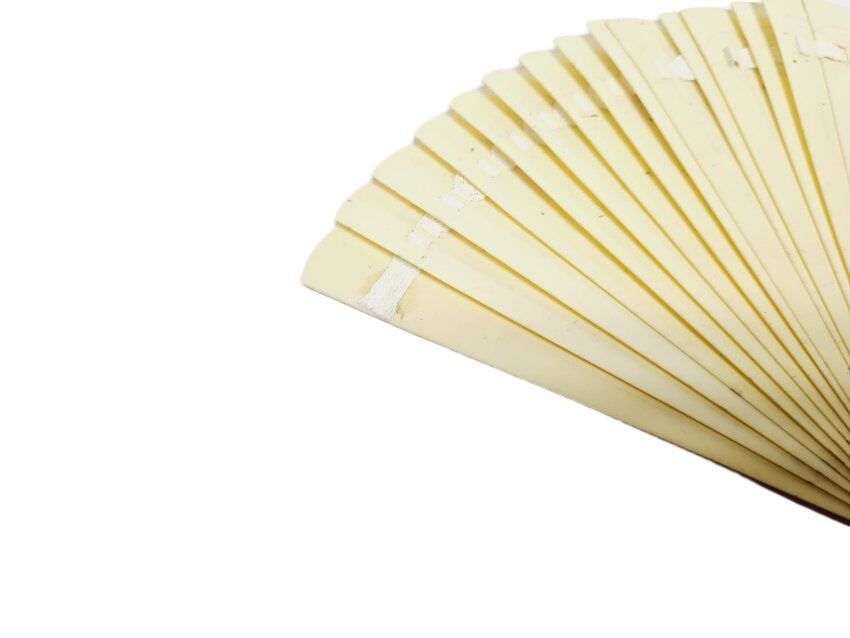 Art Nouveau Polish celluloid fan, 1900s