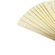 Art Nouveau Polish celluloid fan, 1900s