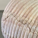 Coquillage de mer Tonna Galea vintage