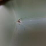 Formica and chrome-plated metal table