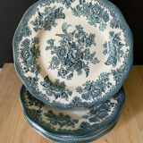 Wedgwood plates