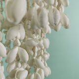 Seashell suspension