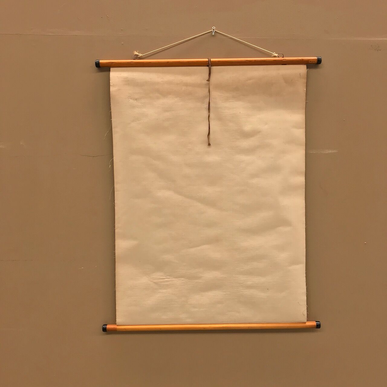 Saule d’affiche de cru en 1961