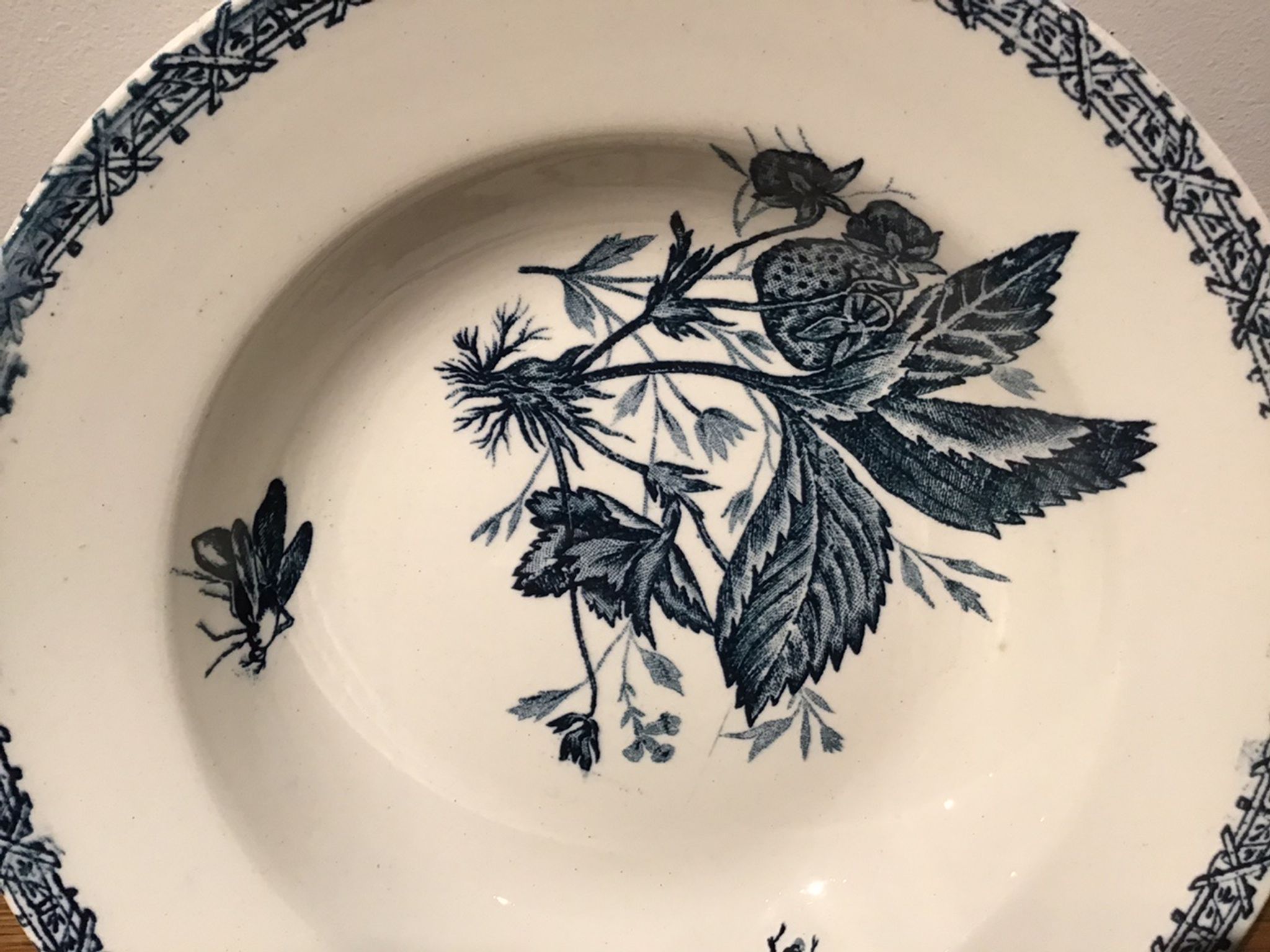 Hollow plate decor insects and strawberries, Manufacture Choisy the King, Iron Land, H Boulenger - Co.