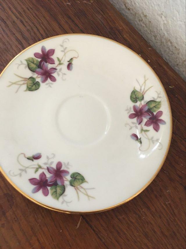 Two porcelain cups with violets