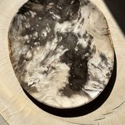 Très grand vide poche ou plat en bois pétrifié