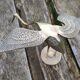 Brass wading bird
