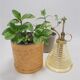 Plant vaporizer