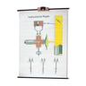 Whole hydraulic educational poster 1969