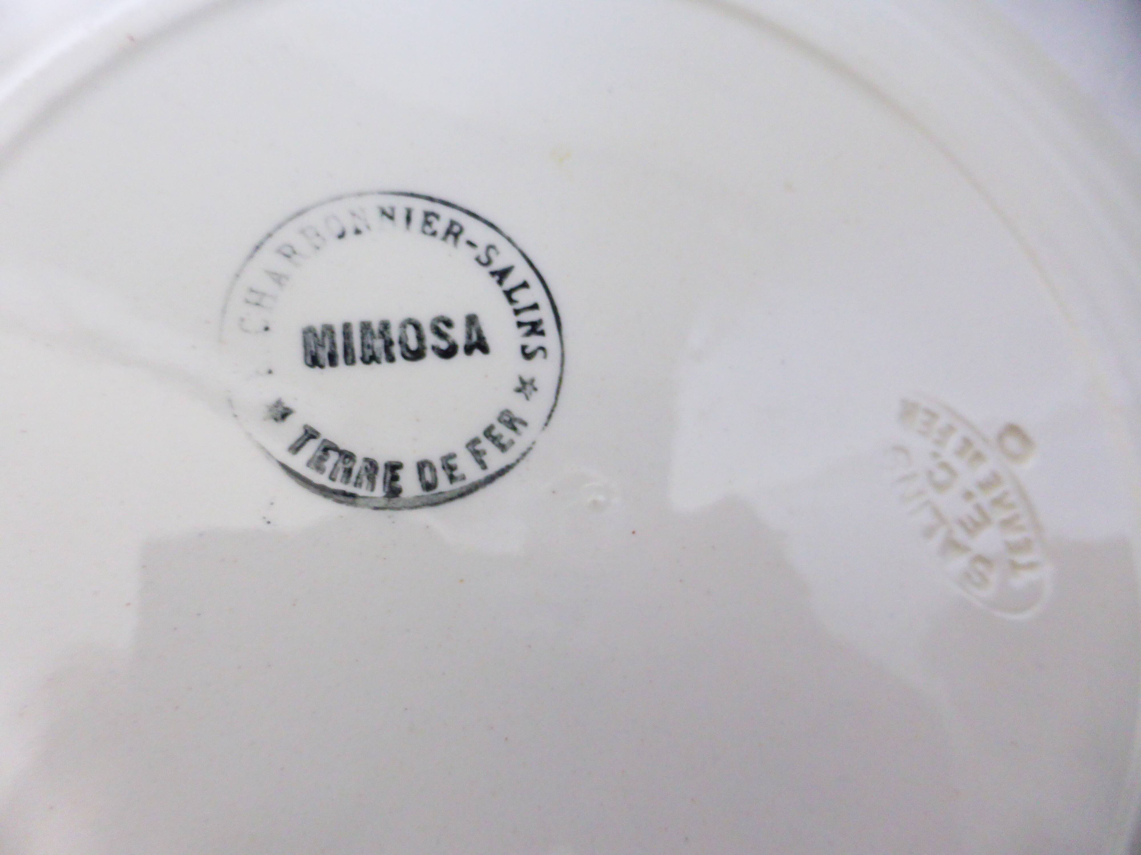 6 hollow plates in iron earth of the Salins model Mimosa 210745