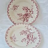 Set of 2 plates Pink Thistles of Gien