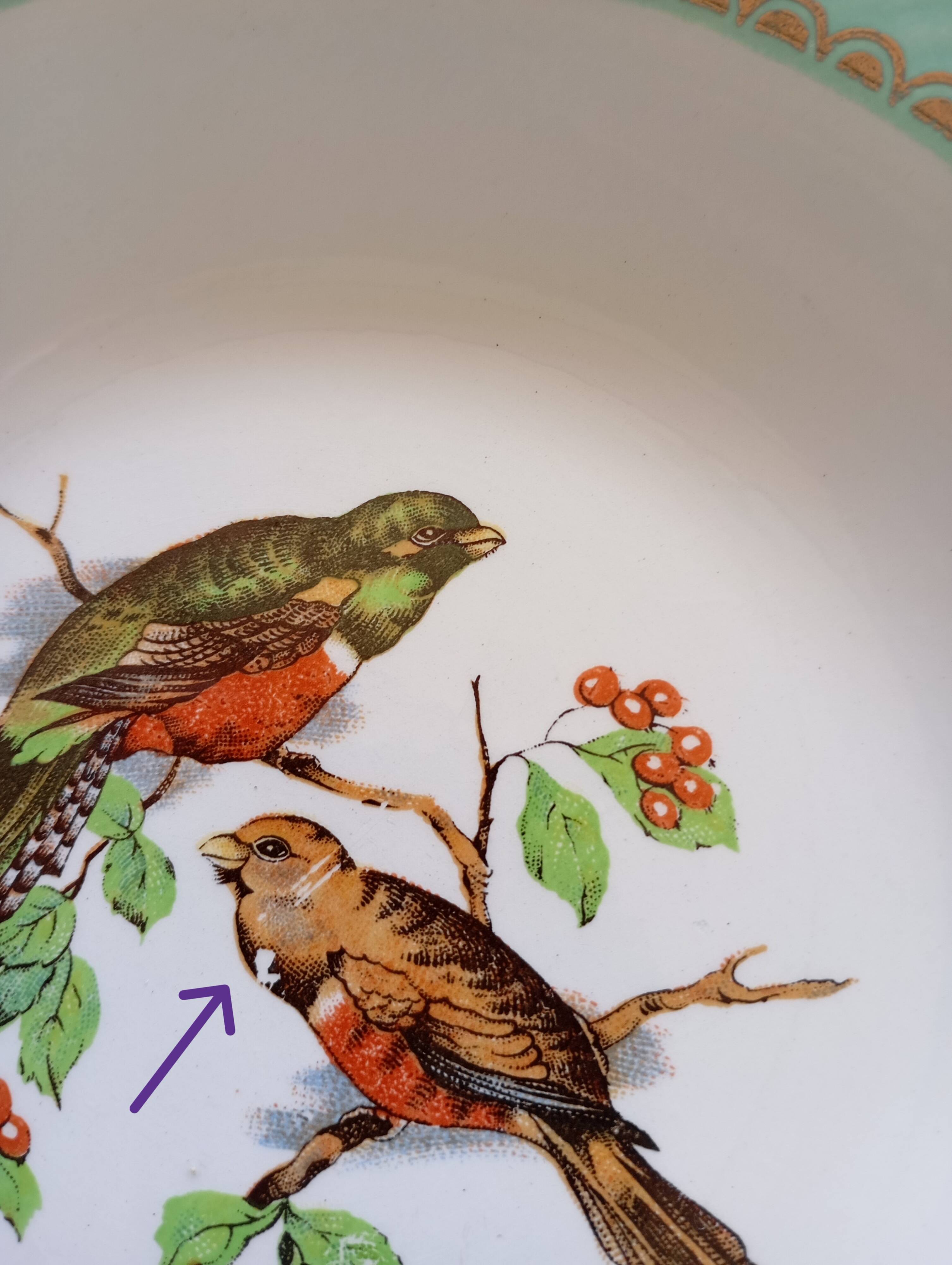 8 soup plates Fenal Badonviller "Birds" vintage 1950s