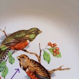 8 soup plates Fenal Badonviller "Birds" vintage 1950s