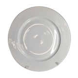Oxford porcelain dinner plates