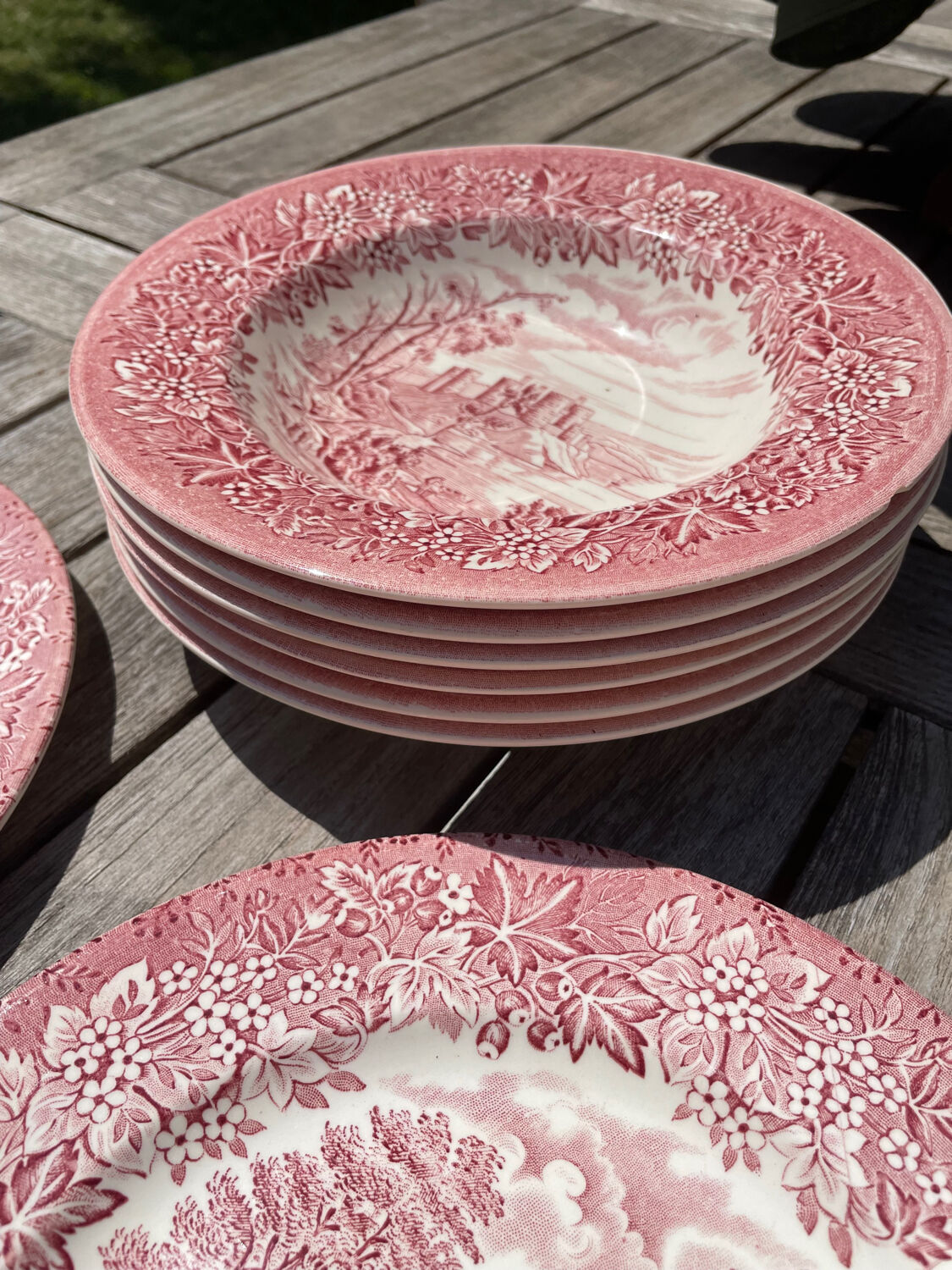Lot 6 flat plates and 6 hollow English Iron Earth English Ironstone