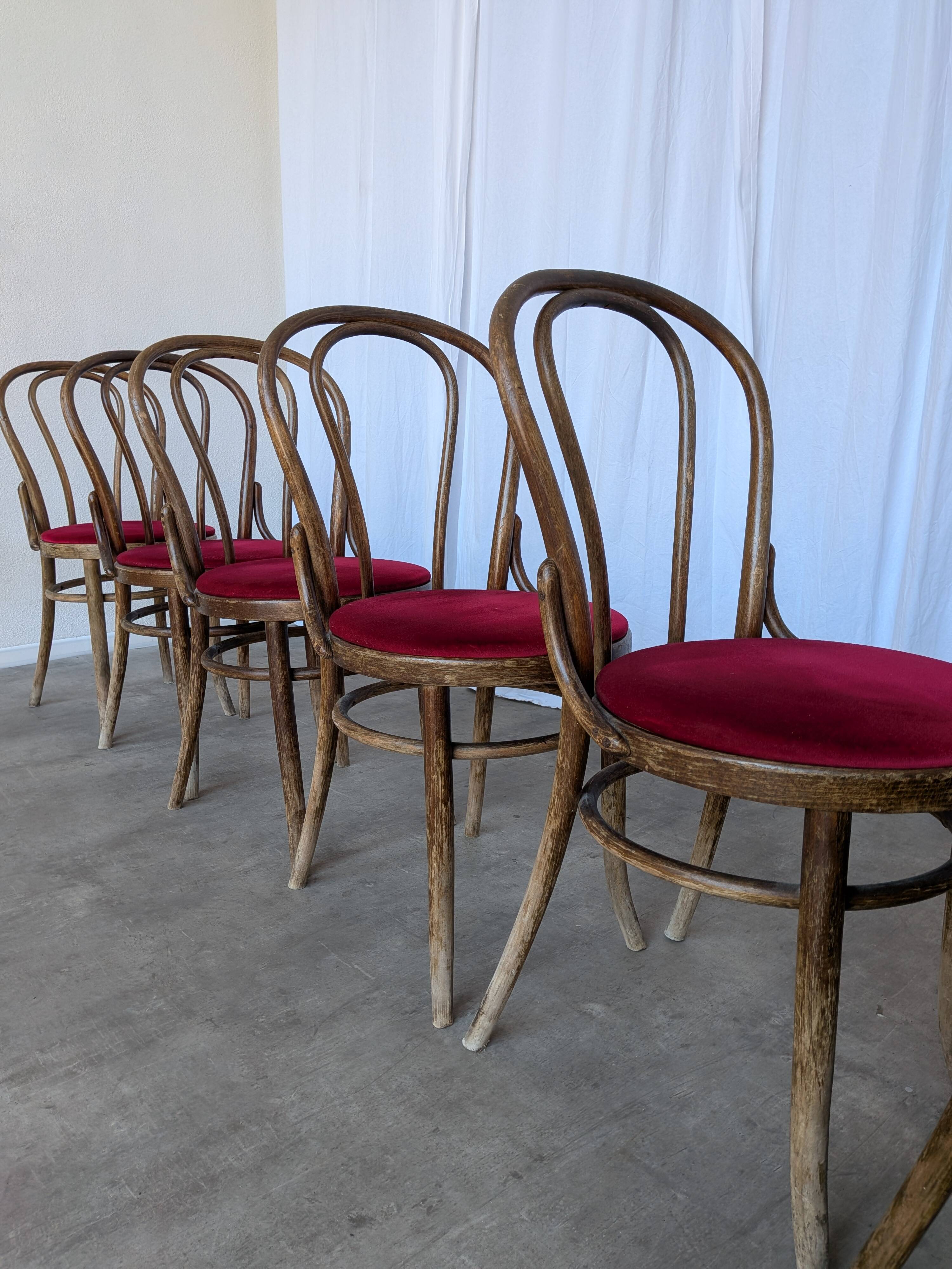 Set of 6 Vintage Bentwood Dining Chairs Set: 1970s , Red Uphols