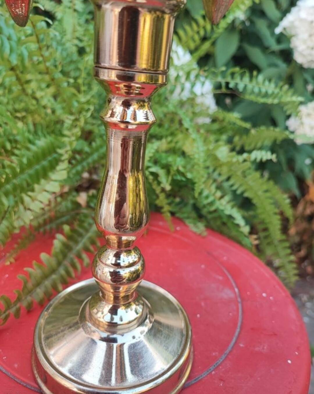 Vintage palm tree lamp by Willy Daro.