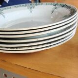 Sarreguemines digoin plates