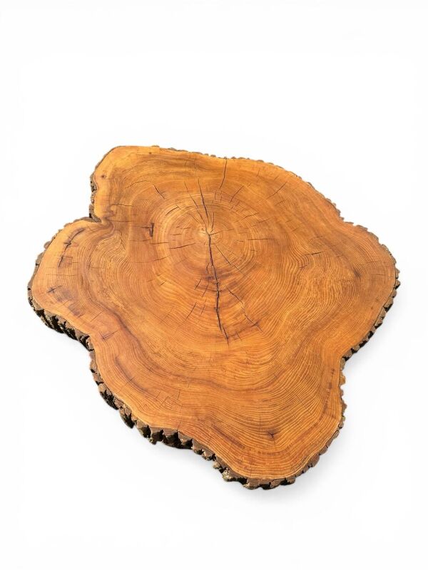 Grande table basse brutaliste monoxyle tronc de cèdre 1960