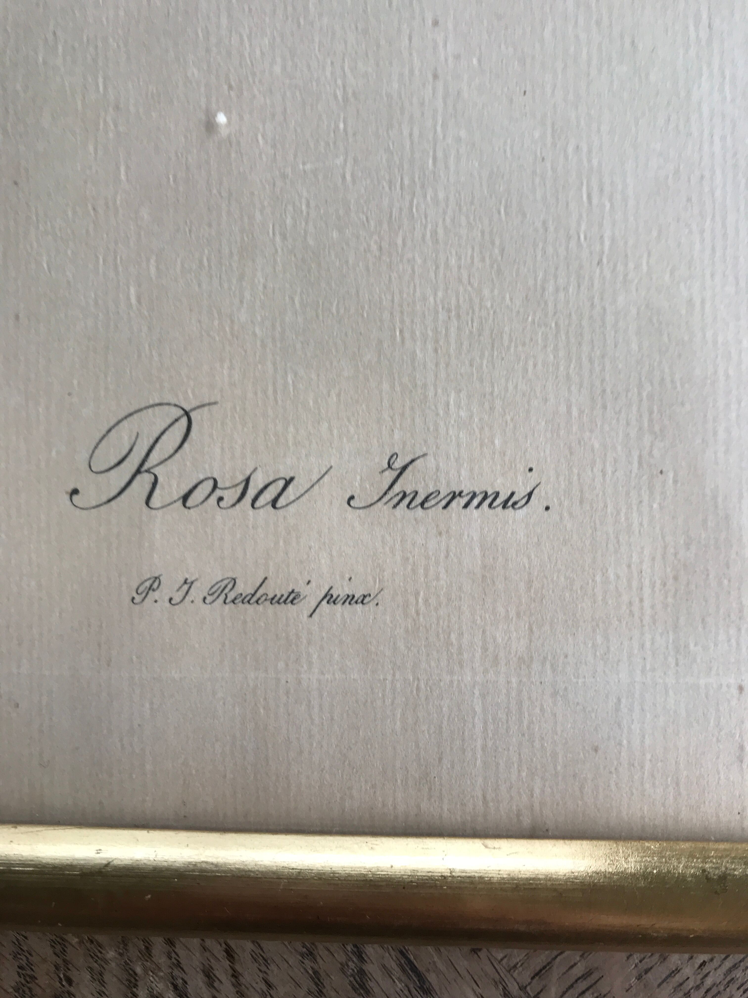 Dreaded Frame and Lithography