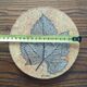 Wall ceramic leaf by Roger Capron, France 1960s-70s