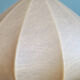 Onion-shaped suspension cocoon, 1960s