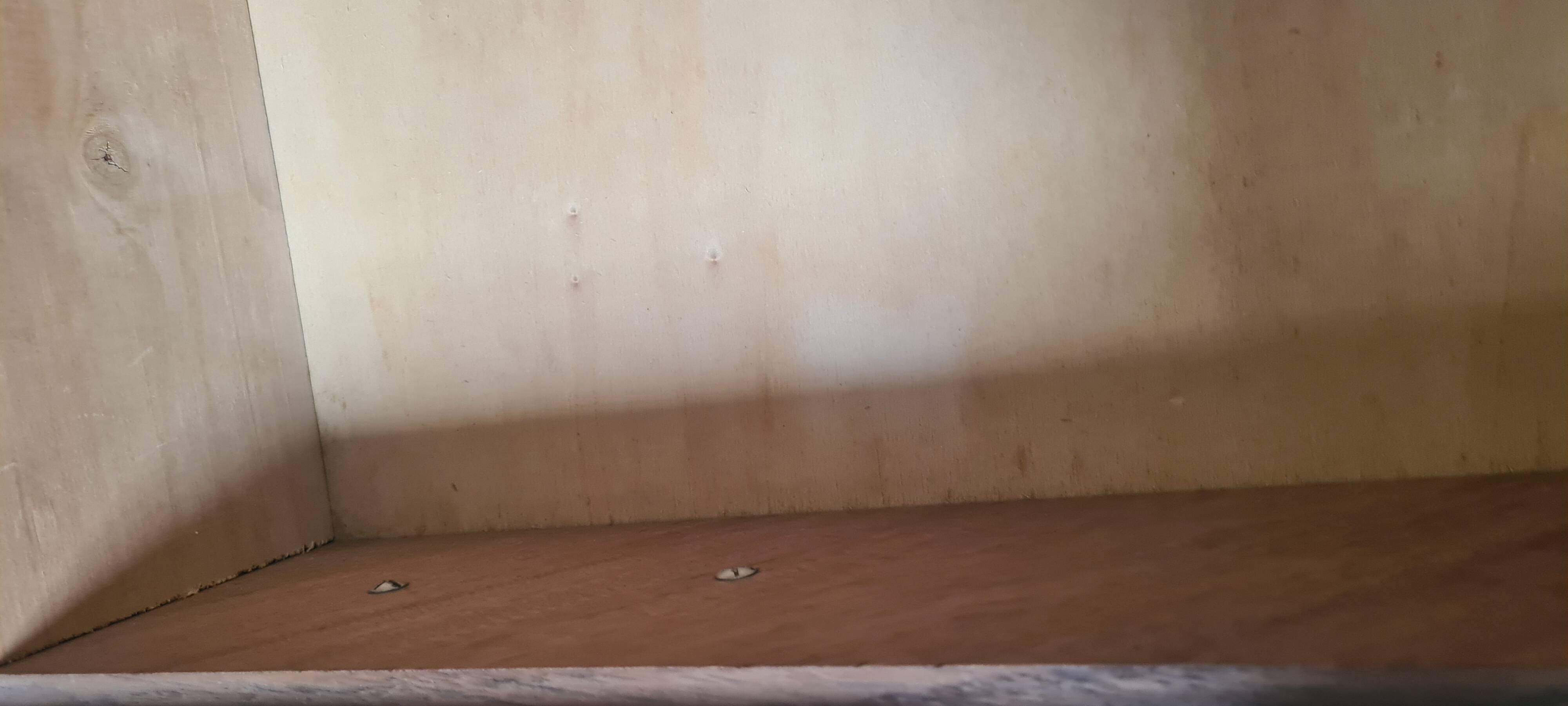 chest of drawers, chiffonier 1950 to 70, stained wood 85x87x55 very good condition