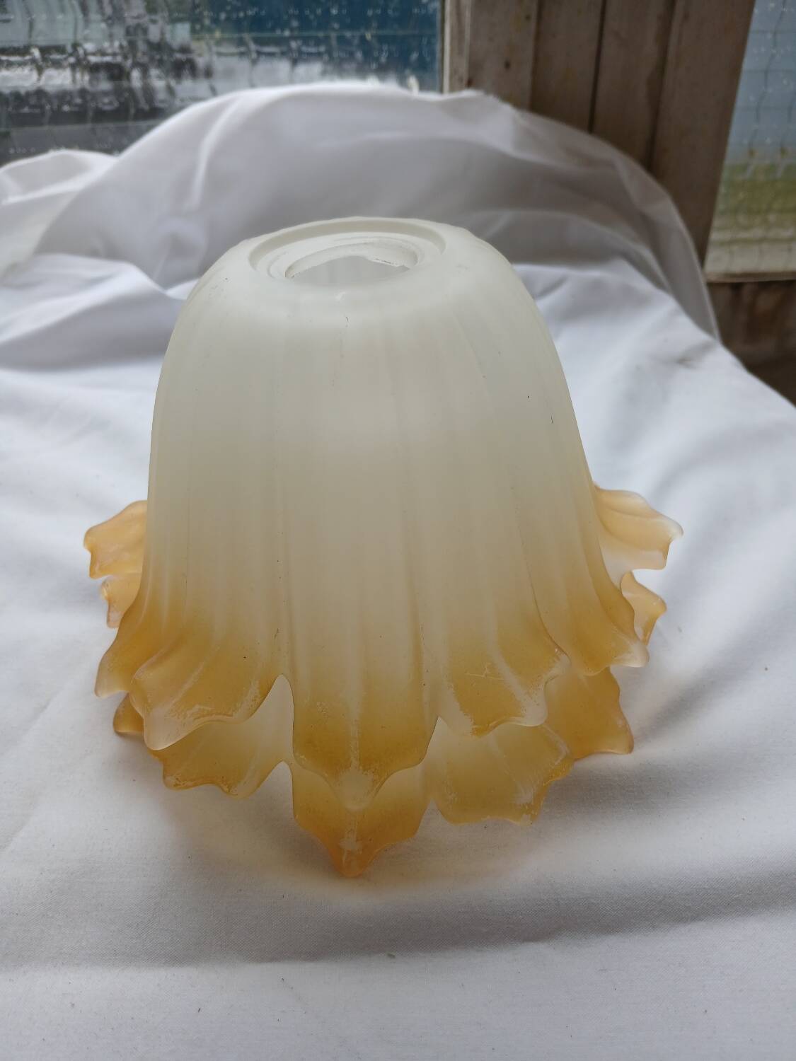 Pair of Art Deco glass tulips / pendant lights