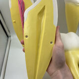 Large size dental model 3 tooth