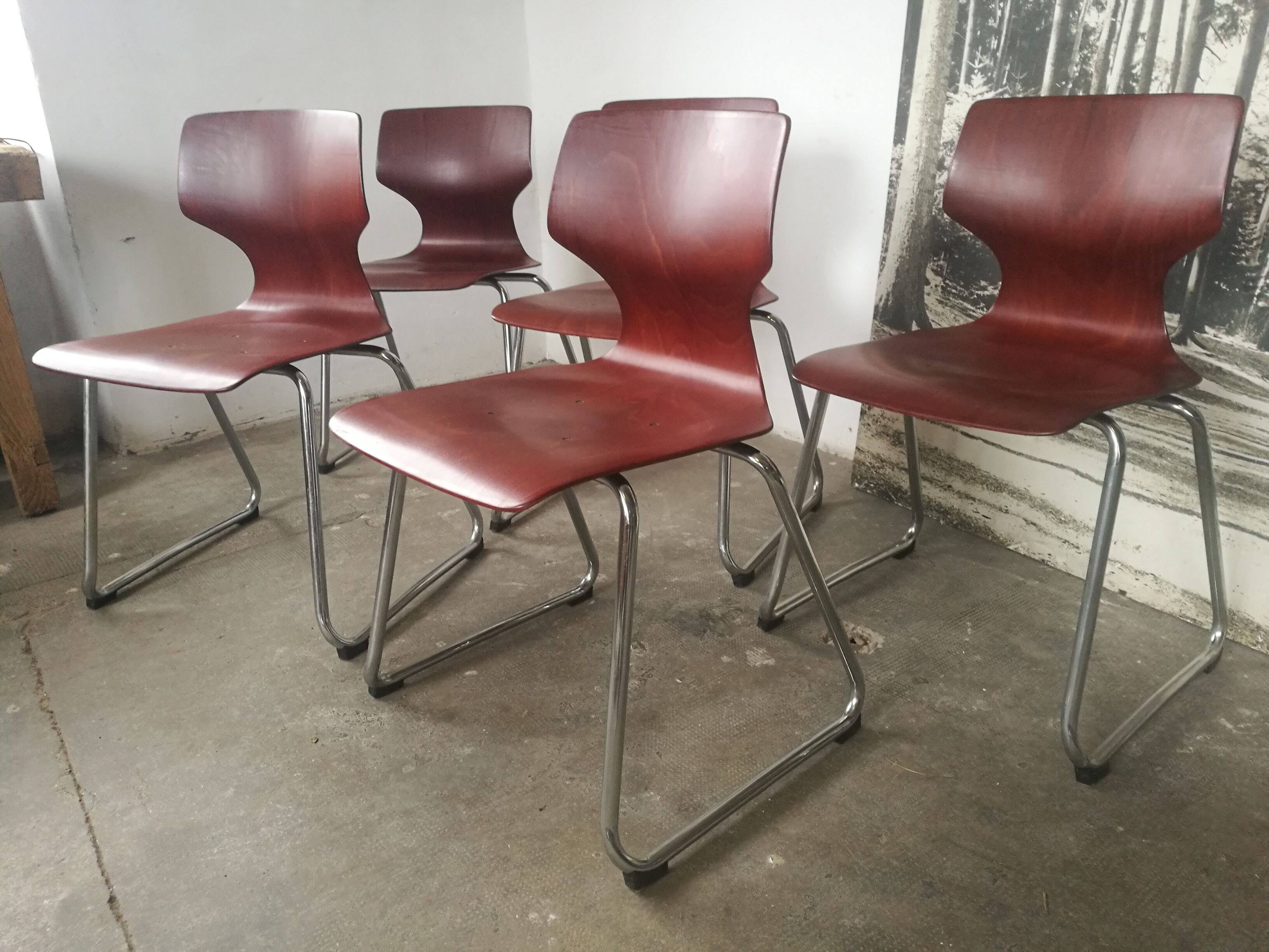 5 Flototto stackable chairs