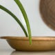 Glazed stoneware dish