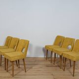 Polish Shell Chairs from Bydgoszcz Furniture Factory, 1960s, Set of 6