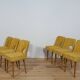 Polish Shell Chairs from Bydgoszcz Furniture Factory, 1960s, Set of 6