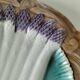 Asparagus plate in earthenware – acanthus and shells – around 1900