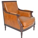 Pair of large armchairs in Louis XVI style