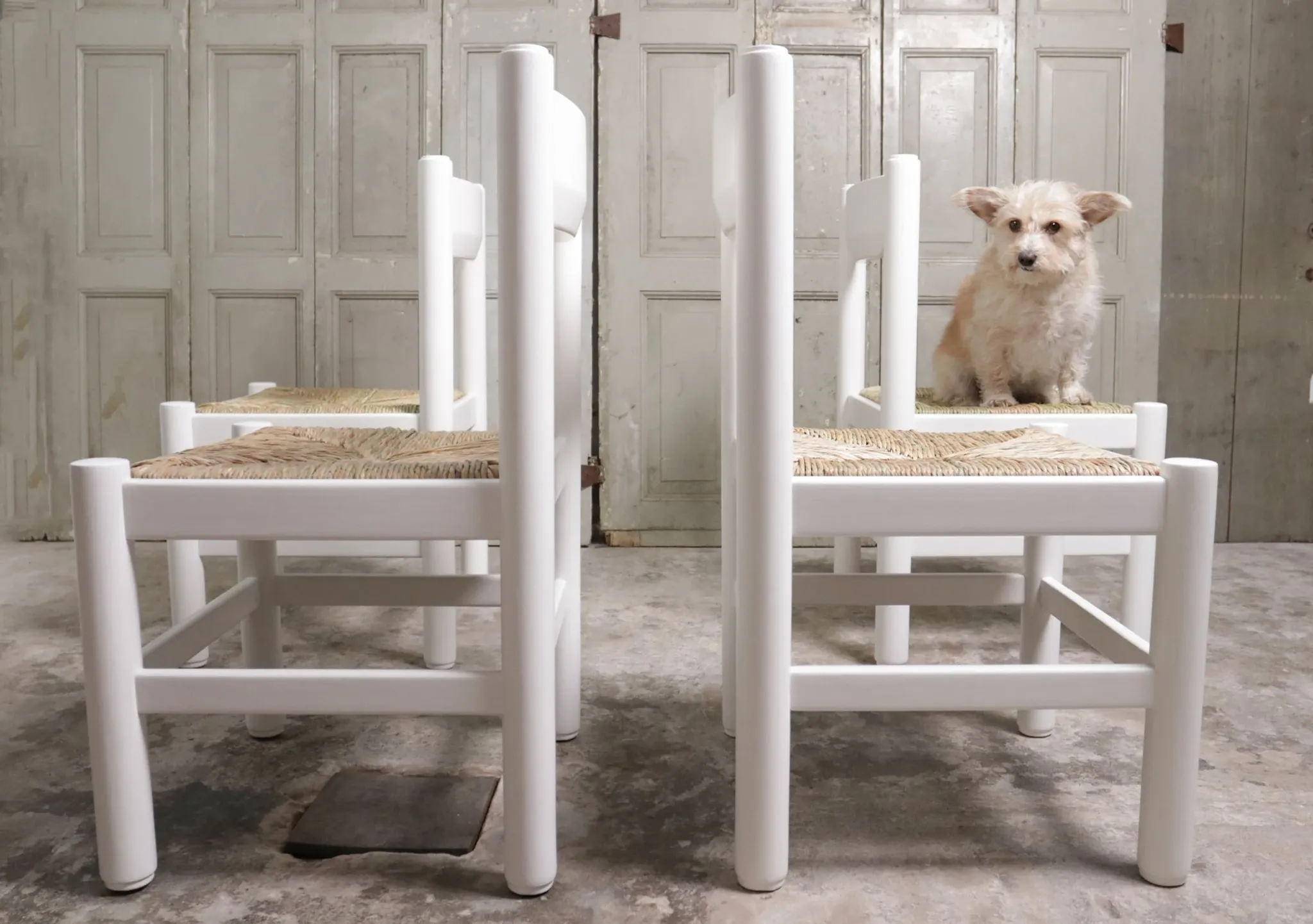 Set of 4 white rush dining chairs – Magistretti / Perriand style, 1970s