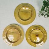 Asparagus plates Iron Earth