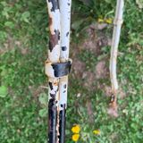 Lot of 2 garden chairs
