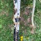 Lot of 2 garden chairs