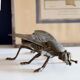 Ashtray fly brass vintage 1970