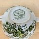 Windsor Ridgway Staffordshire Cup English Earthenware