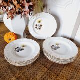 6 Assiettes Creuses Porcelaine Française Sarreguemines Fleurs Marron