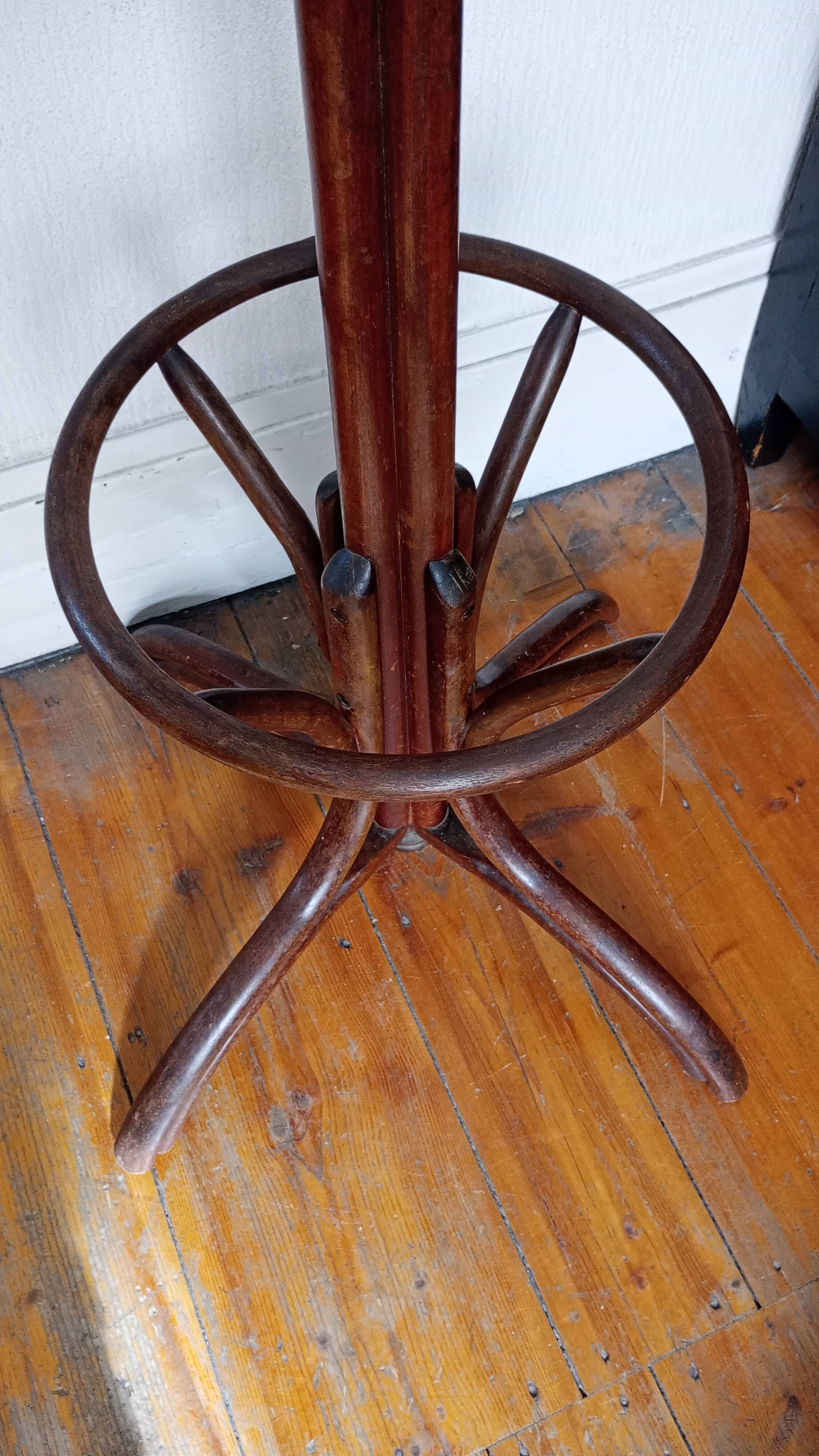 Old parrot coat rack