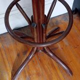 Old parrot coat rack