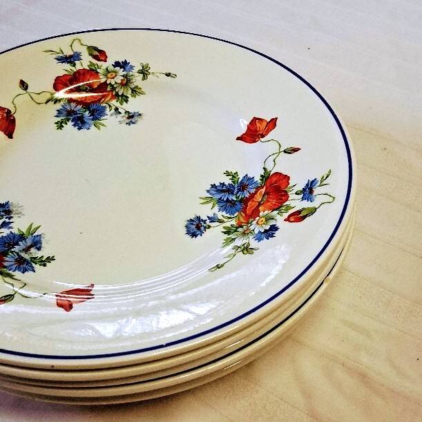 6 flat plates from Salins les Bains, "Poppies" pattern, in very good condition